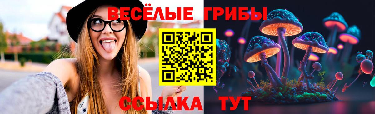 Псилоцибиновые грибы Psilocybe Ревда